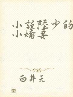 小说陆少的替嫁小娇妻
