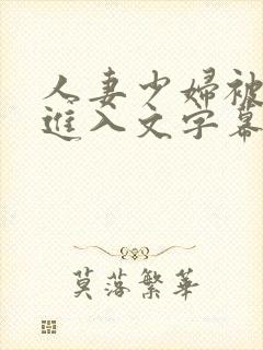 人妻少妇被猛烈进入文字幕