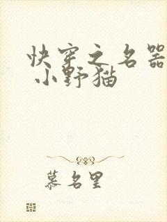 快穿之名器女配 小野猫