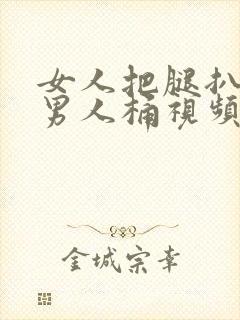 女人把腿扒开让男人桶视频