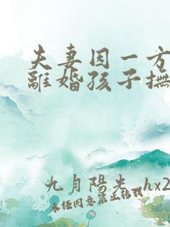 夫妻因一方出轨离婚孩子抚养权怎么判定