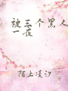 被三个黑人操了一夜