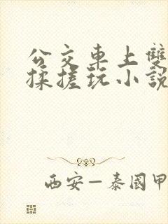 公交车上双乳被揉搓玩小说