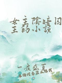 女主阴暗囚禁男主的小说