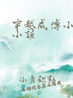 穿越成傅小官的小说