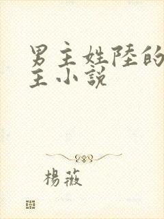 男主姓陆的双男主小说