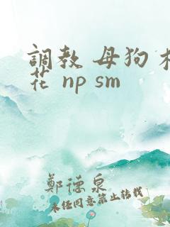 调教 母狗 校花 np sm
