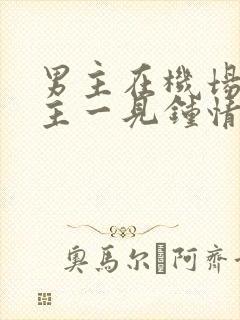 男主在机场对女主一见钟情的小说