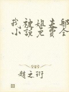 我被姐夫那些年小说免费全文阅读