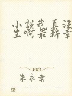 小说我真没想重生啊最新章节阅续