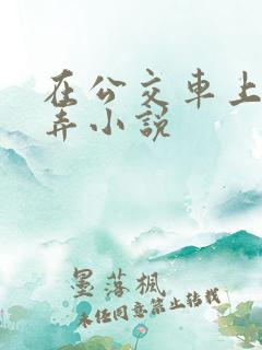 在公交车上被玩弄小说