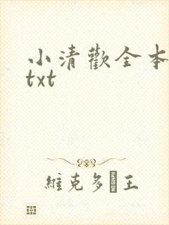 小清欢全本番外txt