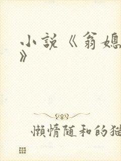 小说《翁媳乱情》