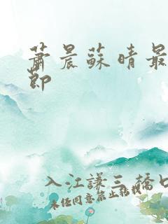 萧晨苏晴最新章节