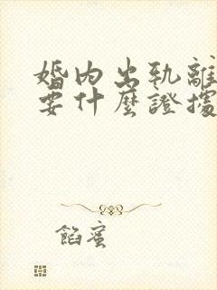 婚内出轨离婚需要什么证据