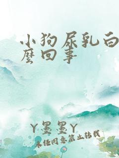 小狗尿乳白色怎么回事