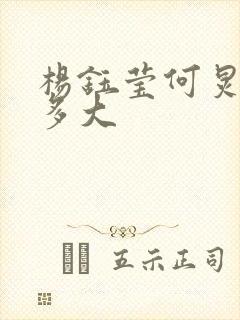 杨钰莹何炅年龄多大