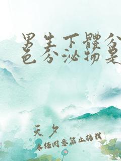 男生下体分泌白色分泌物是什么原因