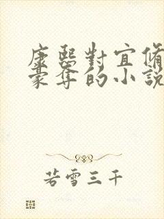 康熙对宜修强取豪夺的小说