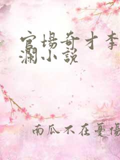 官场奇才李霖李澜小说