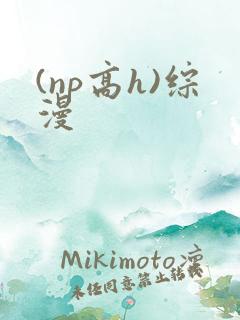 (np高h)综漫