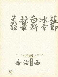 叶秋白冰张莉小说最新章节