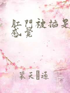 肛门被插是什么感觉