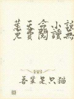 叶天命小说全文免费阅读无弹窗最新章节