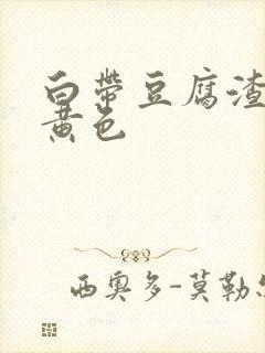 白带豆腐渣状淡黄色