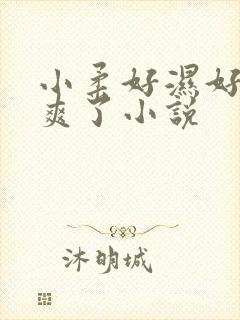 小柔好湿好紧太爽了小说
