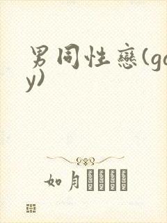 男同性恋(gay)