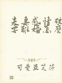 夫妻感情破裂想要离婚怎么离