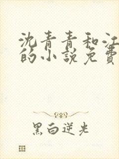 沈青青和江致勋的小说免费阅读