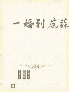 一婚到底苏以清