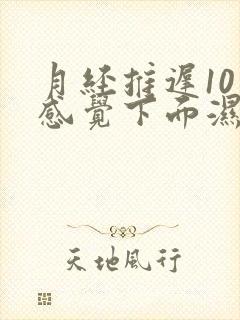 月经推迟10天感觉下面湿漉漉的