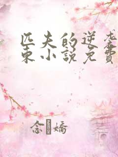 匹夫的逆袭刘汉东小说免费阅读