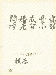 闪婚成爱你好高冷老公小说