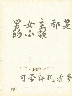 男女主都是总裁的小说