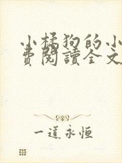 小橘狗的小说免费阅读全文无弹窗