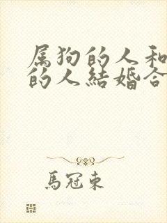 属狗的人和属马的人结婚合适吗