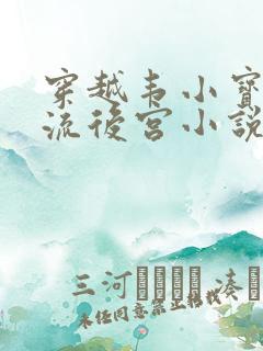 穿越韦小宝之风流后宫小说