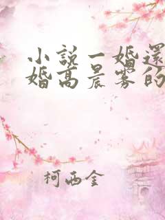 小说一婚还比一婚高晨雾的光