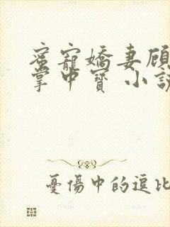 蜜宠娇妻顾少的掌中宝 小说