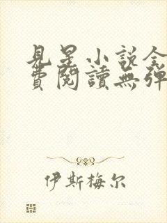 见星小说全文免费阅读无弹窗