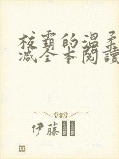 校霸的温柔无删减全本阅读