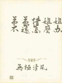 弟弟借姐姐的钱不还怎么办