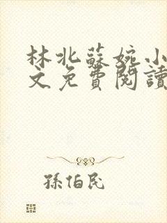 林北苏婉小说全文免费阅读3535章