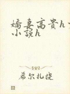 娇妻高贵h少妇小说h