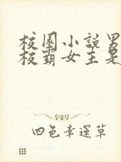 校园小说男主是校霸女主是转校生