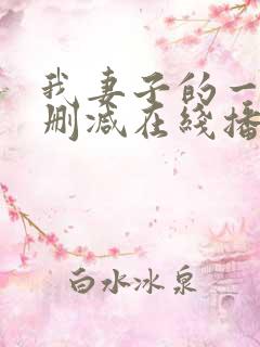 我妻子的一切未删减在线播放